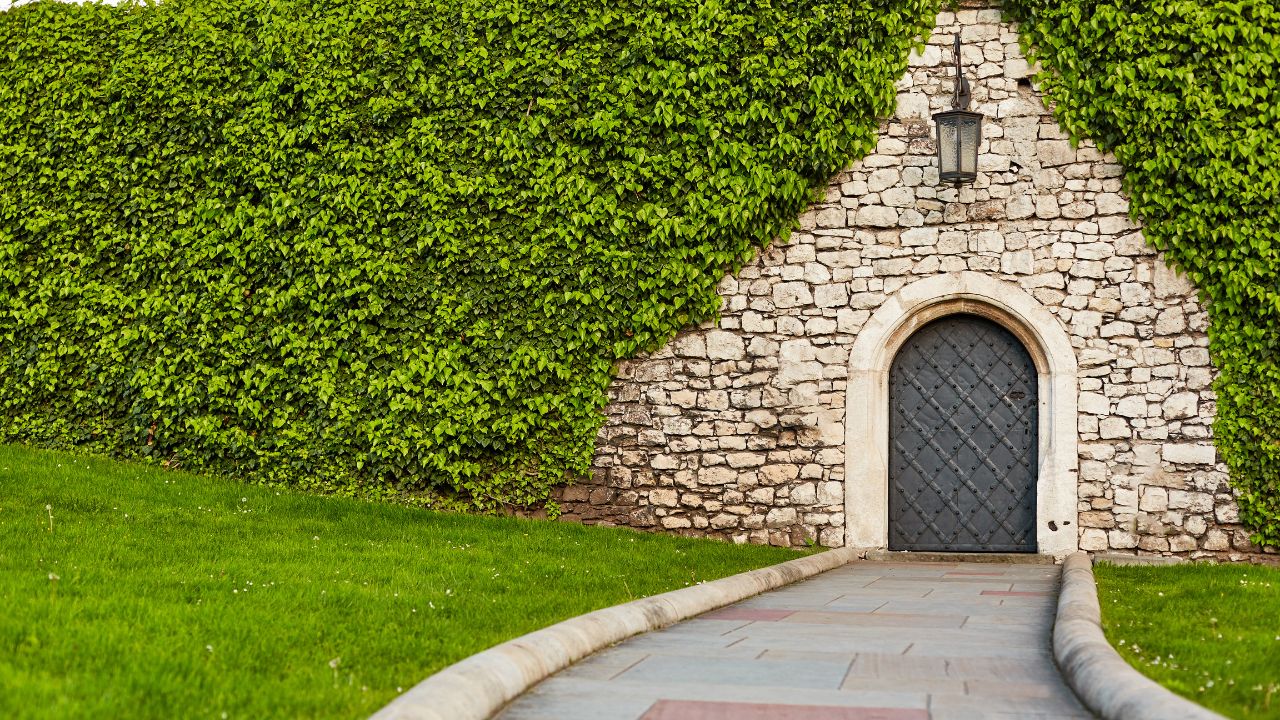 緑の中にある石の回廊の向こうにアーチ型の入口