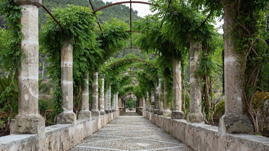 両サイドに石造りの柱と緑。その中を通る石畳の回廊