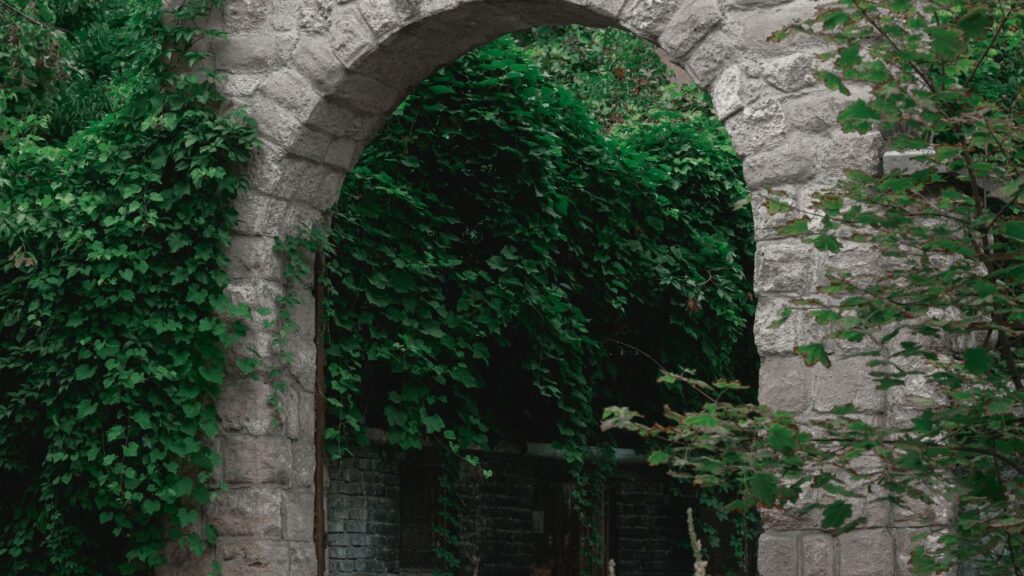 緑の中にある大きなアーチ型石造りの門