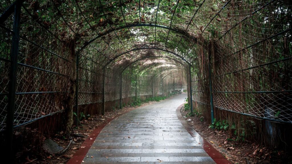 アーチ型の緑に続く石畳の回廊の向こうに光